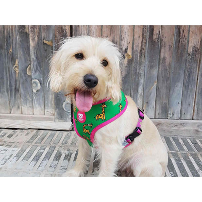 Odwracalna uprząż dla psów SAVANA Dukier L