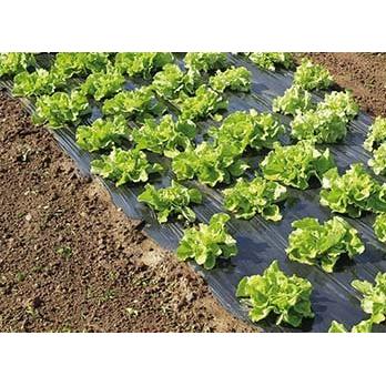 Terrafilm Nortene micro-perforated mulch film, 1.4 x 10 m