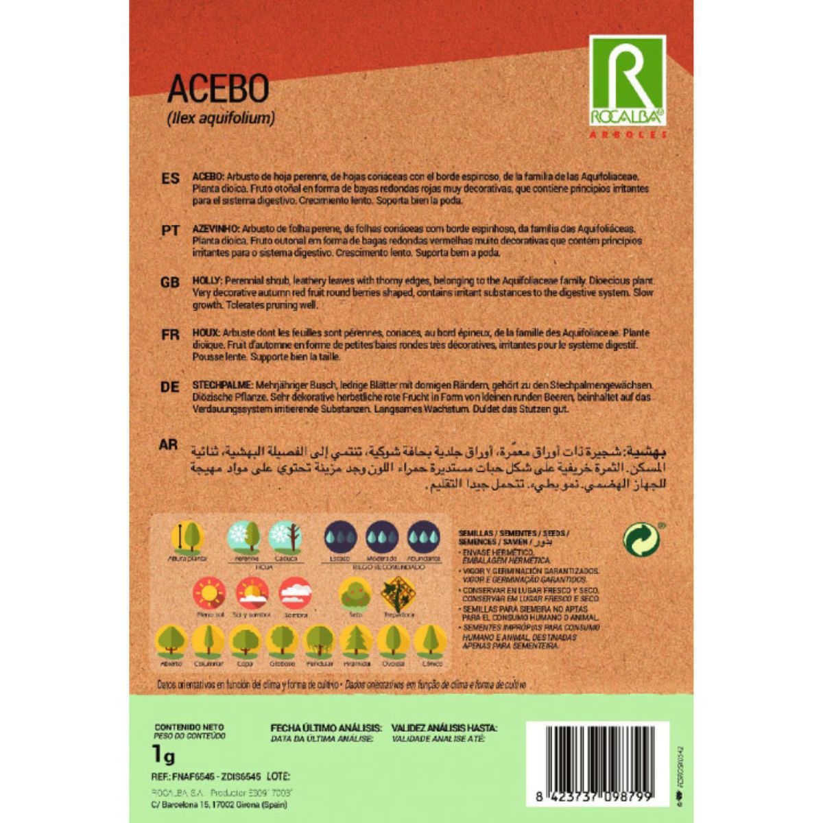 Graines de houx Ilex aquifolium