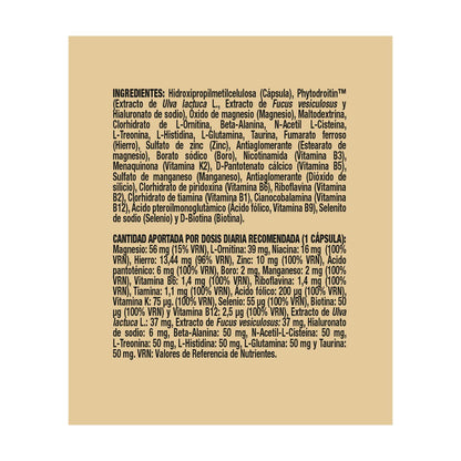 Cofacteur végétalien 40 gélules Powergym