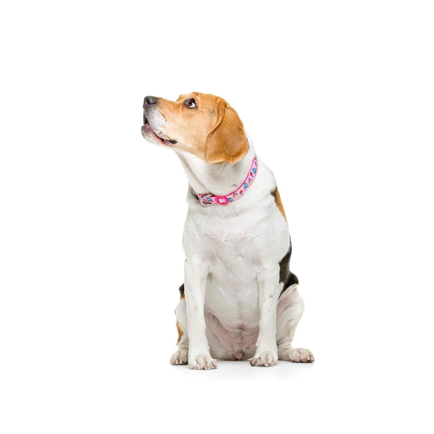 Hundehalsband PRINCESS Dukier XS