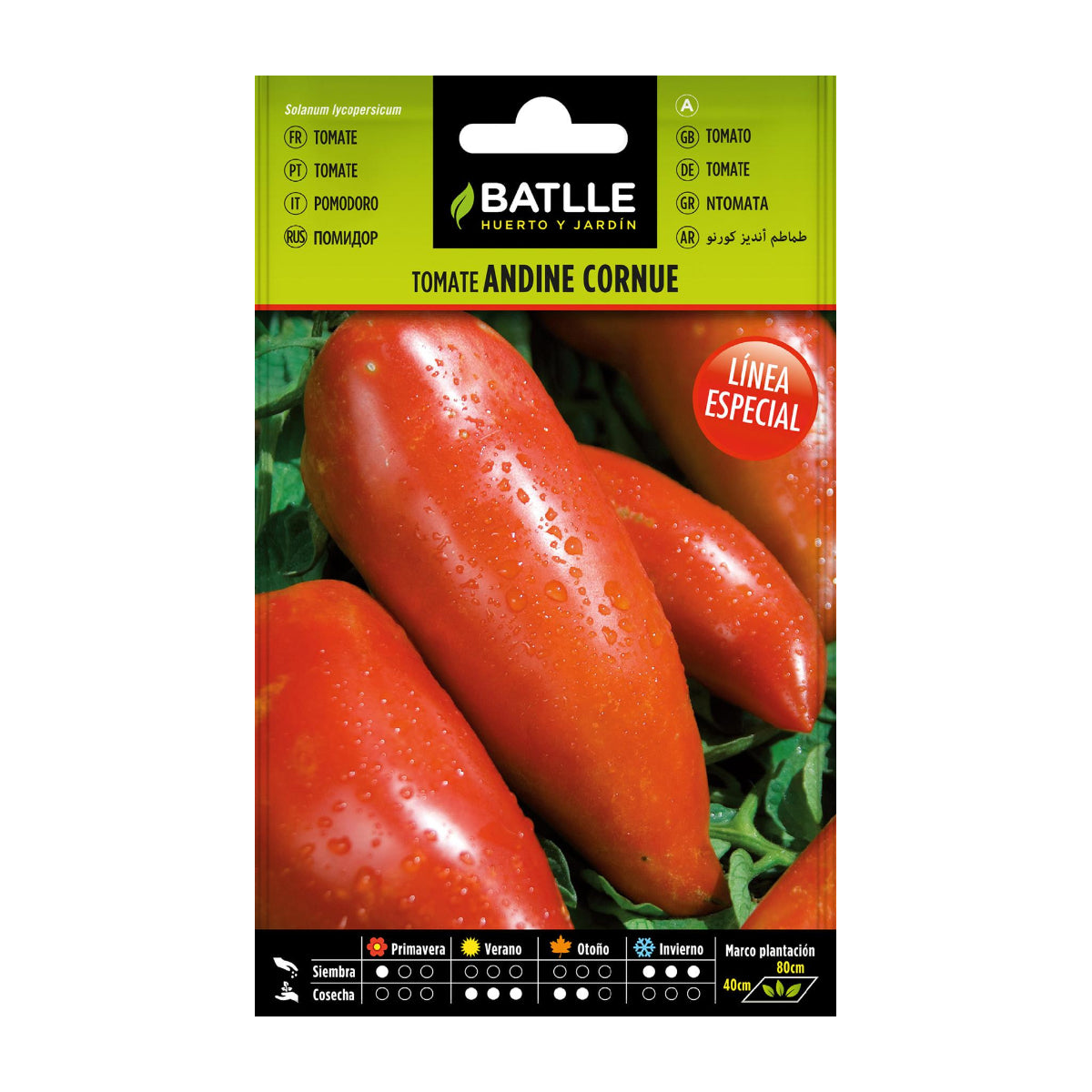 Semi di pomodoro Andina Cornue Batlle