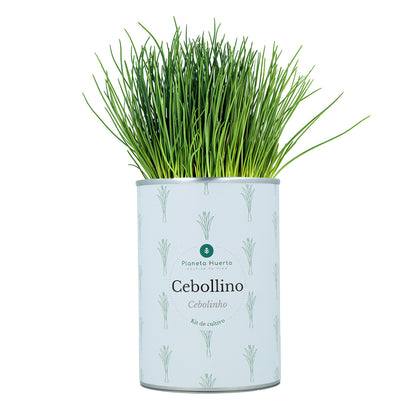 Kit per la coltivazione aromatica Pacco Pettorale Planeta Huerto