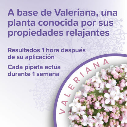 Calming Spot On  Pipety uspokajające dla kotów Beaphar 3x0,4 ml