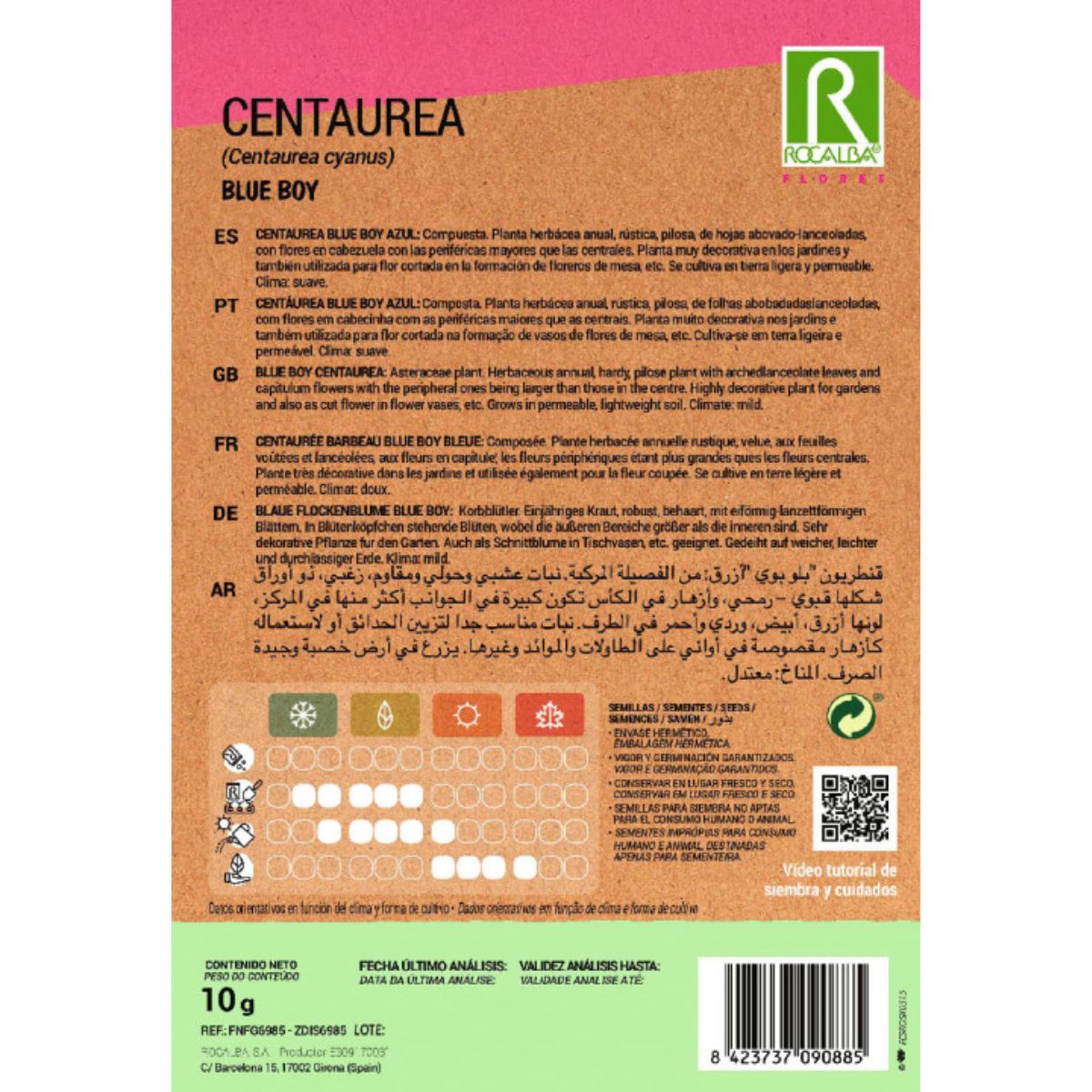 Centaurea blue boy-frön, blå