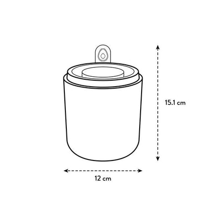 Amazing Avocado Elho Terra avocado germinator pot