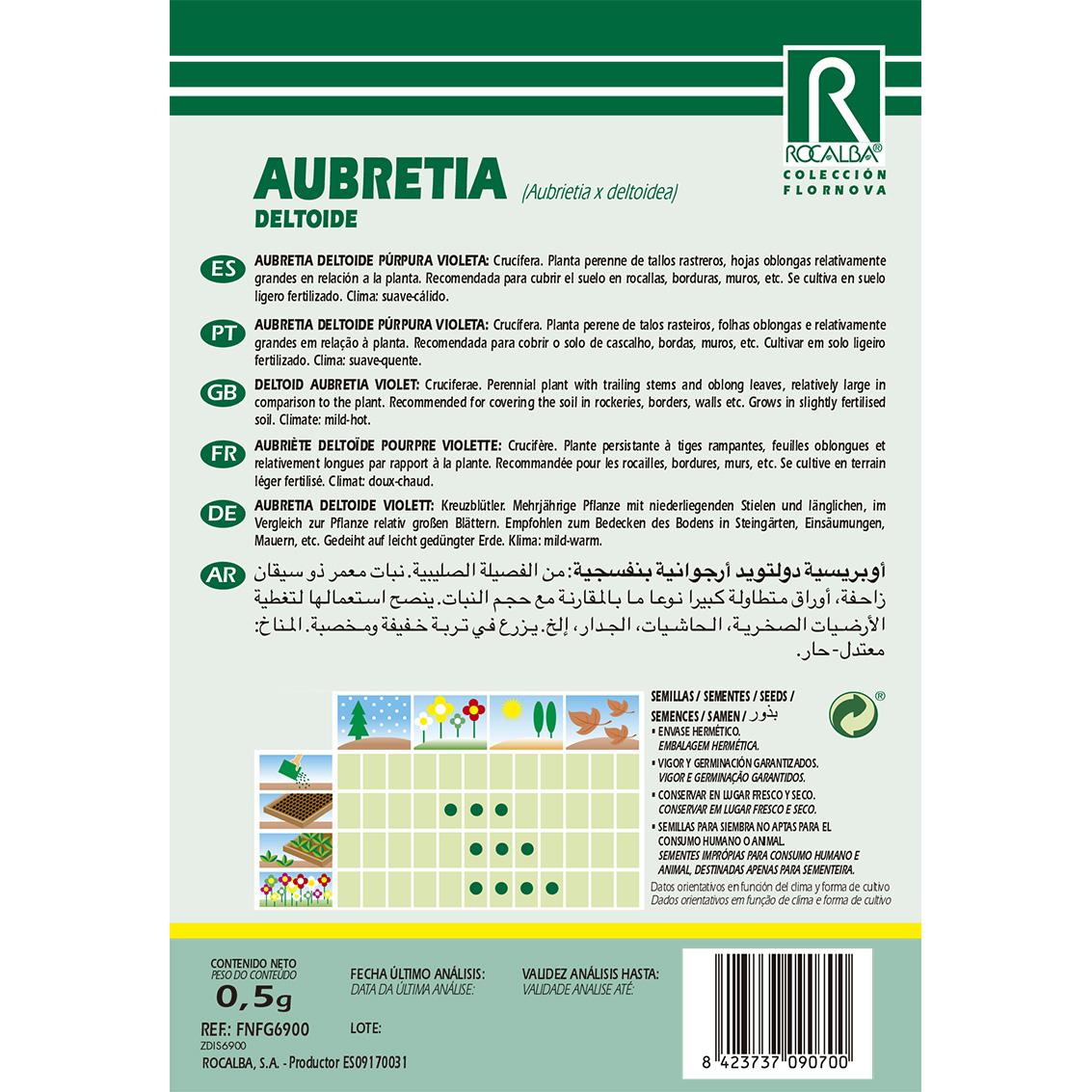 Nasiona Aubretia deltoide, fioletowo-purpurowe