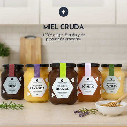 Pack 6x Miel Cruda de Mil Flores Planeta Huerto 1 Kg