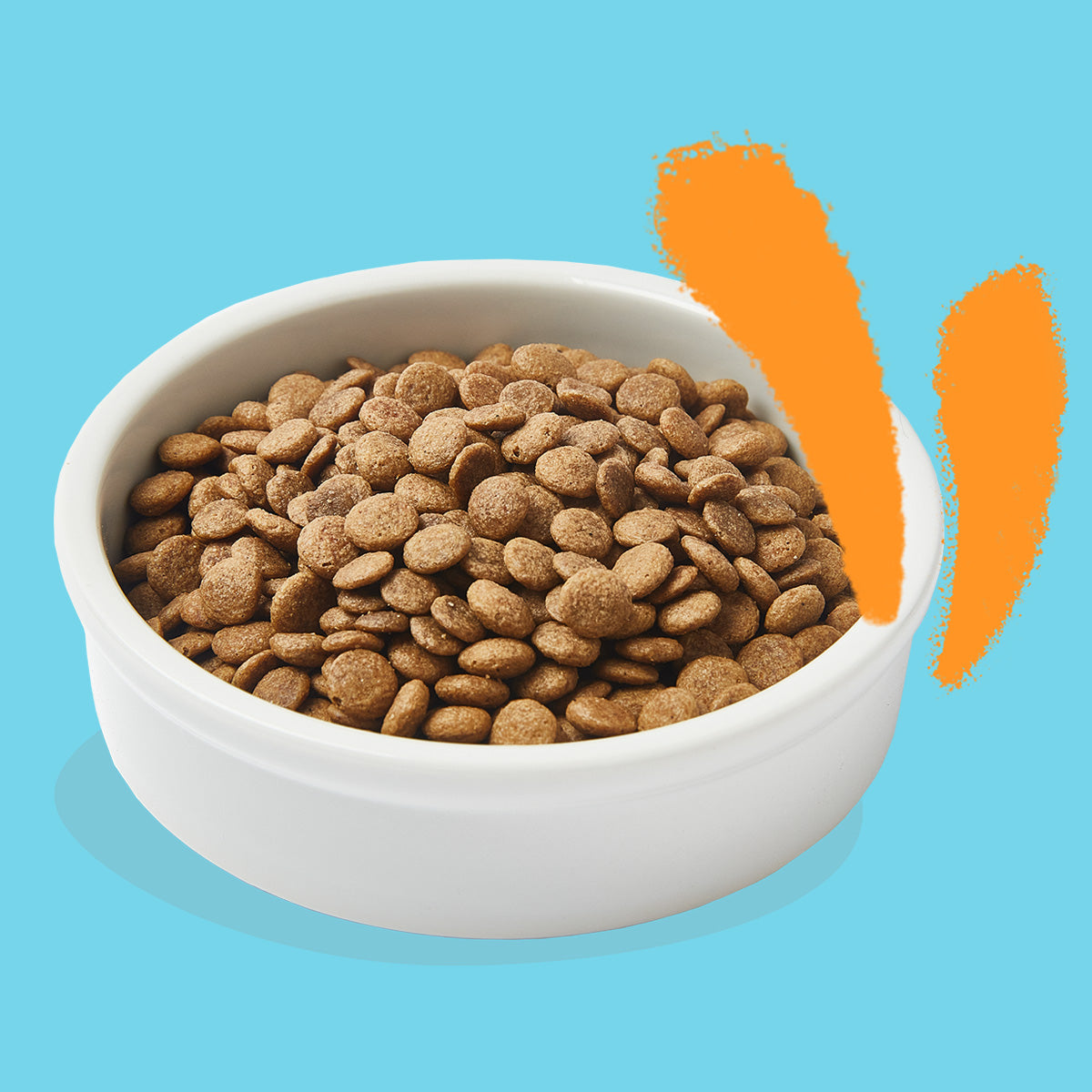 Karma dla kotów Świeże mięso z kurczaka z wolnego wybiegu Edgard & Cooper 4 kg