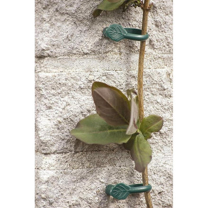 Biotop climbing plant clamp with nail, 8 pcs