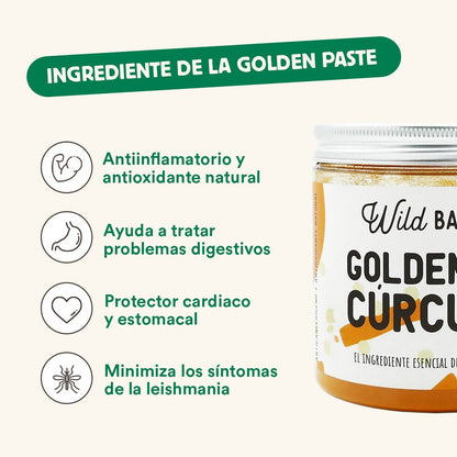 Curcuma pour Golden Paste Complément alimentaire pour animaux Wild Balance 100 g