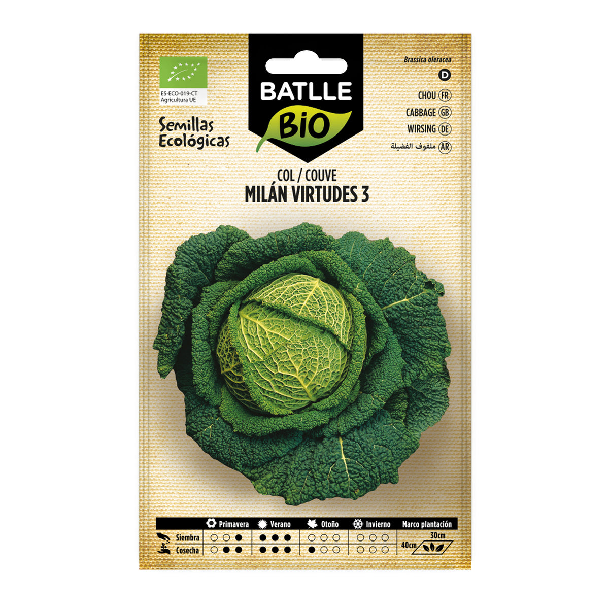 Graines de chou Milan Virtudes 3 écologiques Batlle