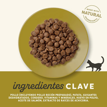 Applaws Cat Dry Kip en Lam 2 kg Graanvrij natuurlijk kattenvoer