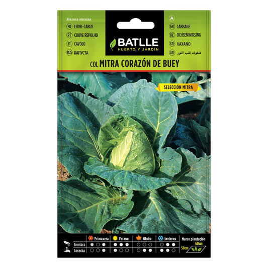 Nasiona kapusty Corazón de buey Batlle