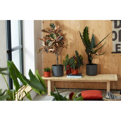 Bloempot B.for Soft Round Elho Antraciet 30 cm