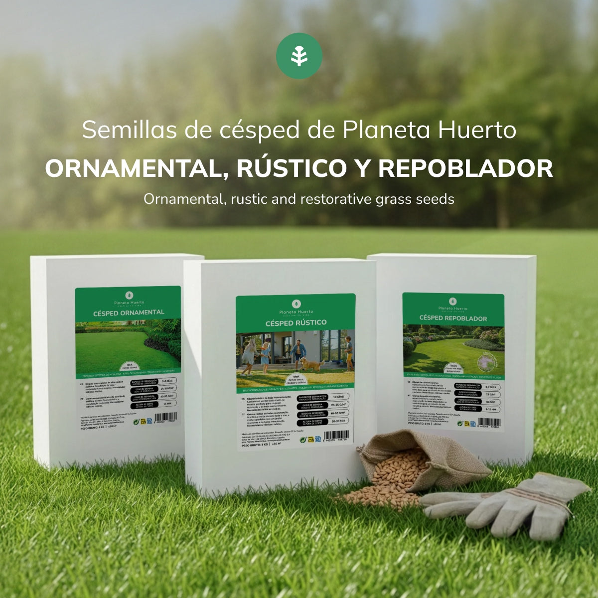 Prydnadsgräsfrön Planeta Huerto 1 kg