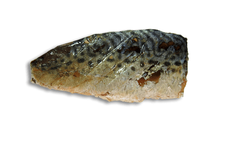 Kit Cat FilletFresh – Gegrillte Makrele 30 g Natürlicher Snack für Katzen