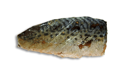 Kit Cat FilletFresh – Gegrillte Makrele 30 g Natürlicher Snack für Katzen