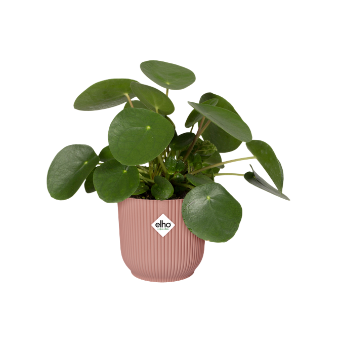 Doniczka Vibes Fold Round Delicate Pink Elho 25 cm