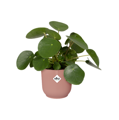 Blumentopf Vibes Fold Round Delicate Pink Elho 25 cm