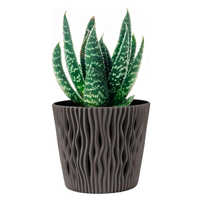 Duna-bloempot met grijs-bruine inzet D 16 x 14