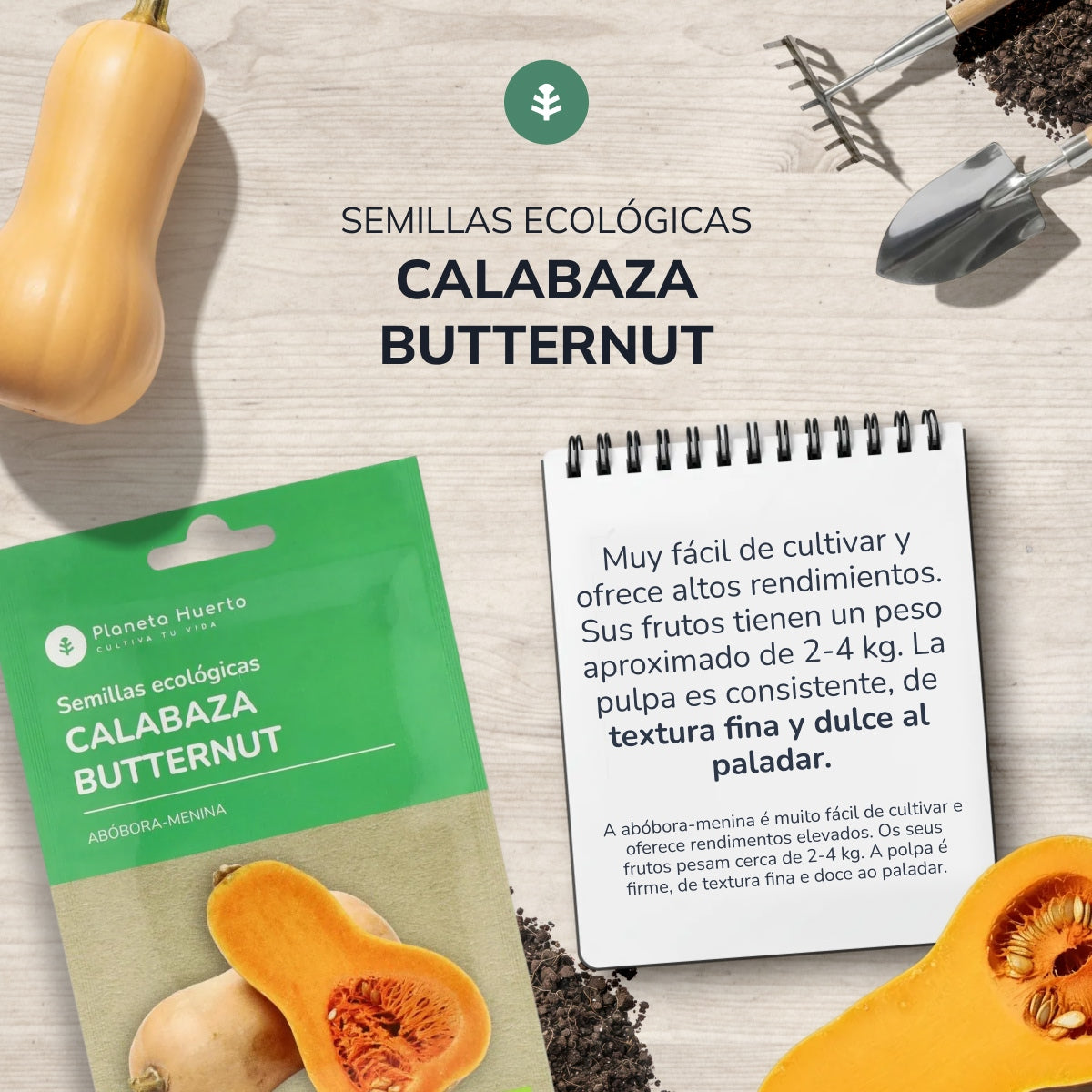 Organic Butternut Squash Seeds Planeta Huerto