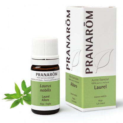 Eteriskt olja av lagerblad Pranarôm 5 ml