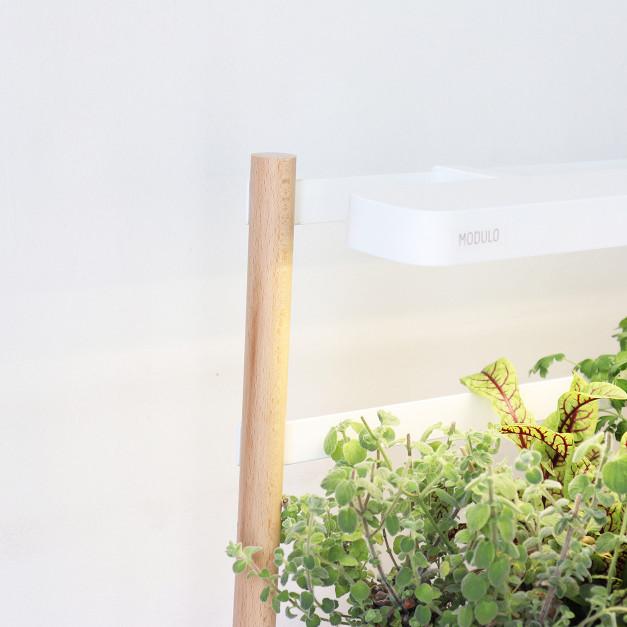 Potager d'intérieur MODULO Prêt à Pousser