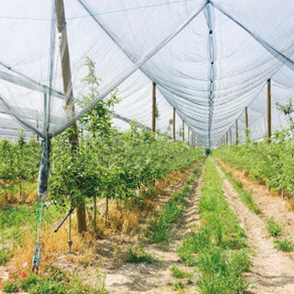 Siatka przeciwgradowa Verdemax 2 x 20 m