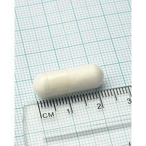 Acetil-L-carnitina Lamberts