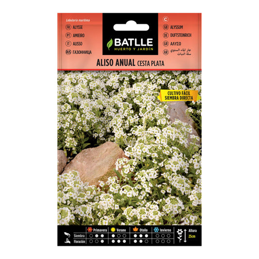 Annual Alder Seeds Silver Basket Batlle