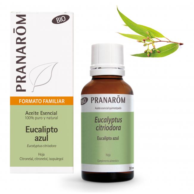 Etherische olie Blauwe Eucalyptusblad Bio Pranarom 30 ml