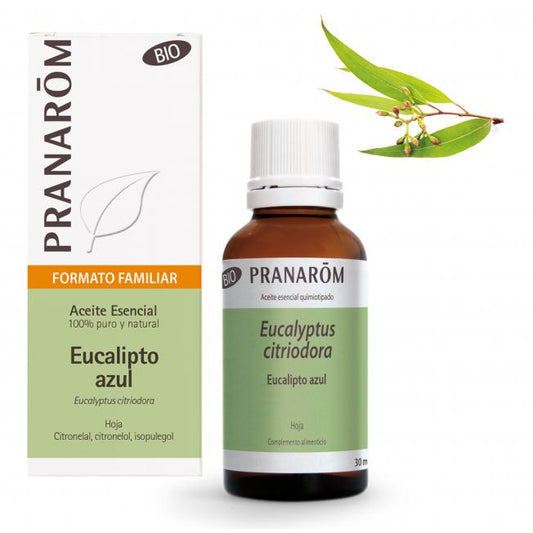 Olio essenziale di eucalipto blu foglia biologico Pranarom 30 ml