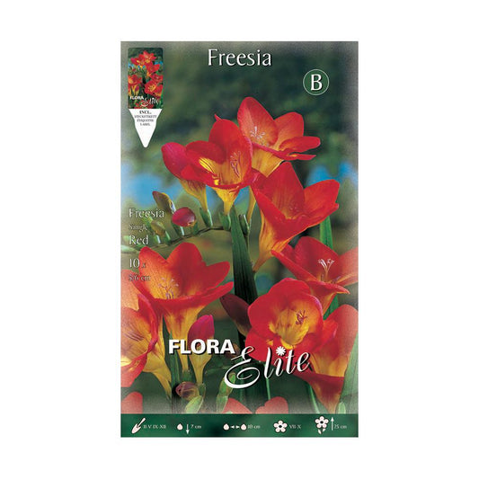 Freesia-bollen, enkel rood, 10 stuks