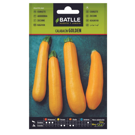 Semi di zucchina Golden Batlle