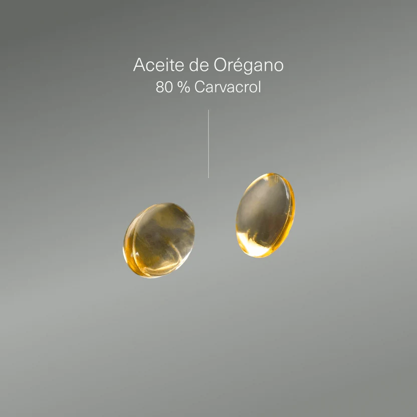 Oregano-olie 200 mg, 160 mg carvacrol Aldous Bio 200 capsules