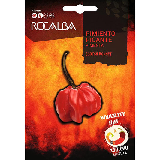Zaden Scotch Bonnet Rocalba hete peper