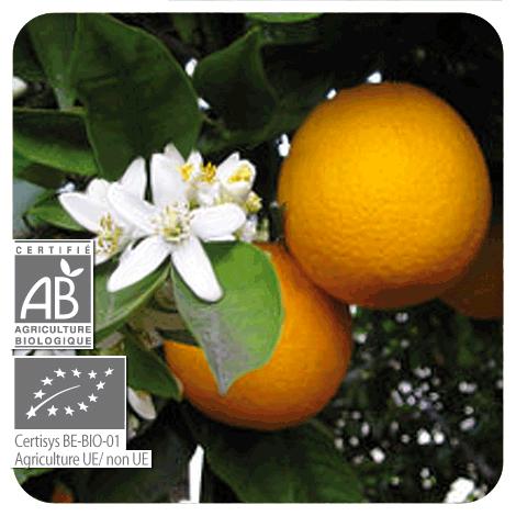 Ätherisches Öl Süßorange BIO Pranarôm 10 ml