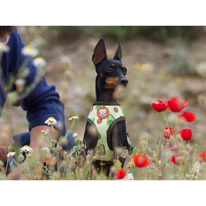 Omkeerbaar harnas voor honden AVOCADO Dukier XL