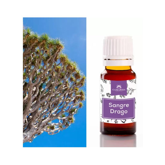 Sangre de drago (Sangre de grado). Camassia 10 ml