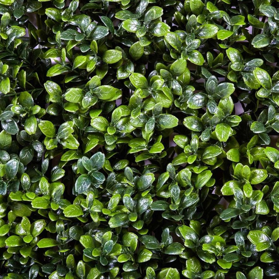 Giardino verticale artificiale Buxus Nortene 1x1 m