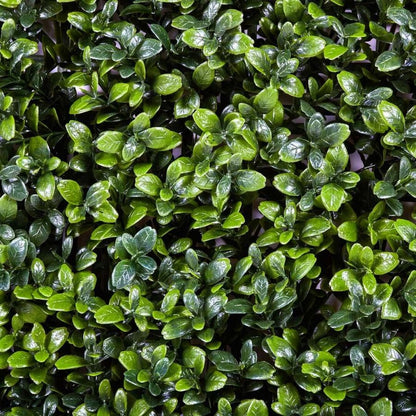 Giardino verticale artificiale Buxus Nortene 1x1 m