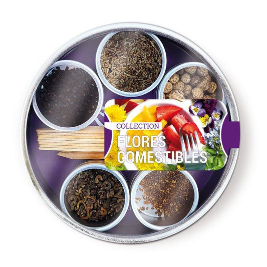 Jadalne kwiaty Kolekcja nasion