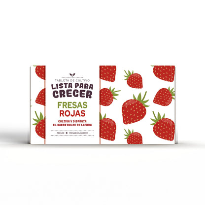 Tablette zum Anbau von roten Erdbeeren Ideal Regalo, Garden Pocket