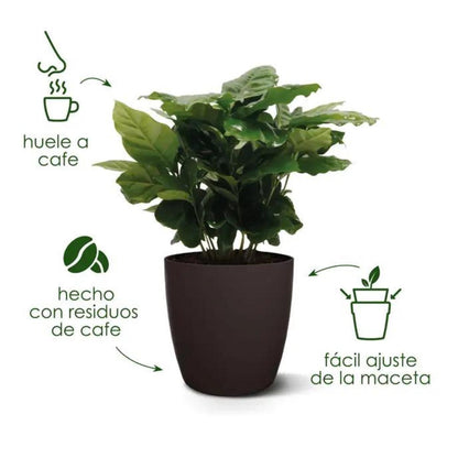 Gerecyclede bloempot Coffee Collection Round Elho 22 cm