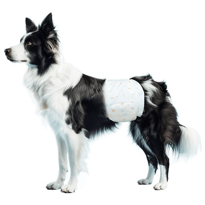 Couches pour chien mâle Nobleza, taille L, lot de 10.