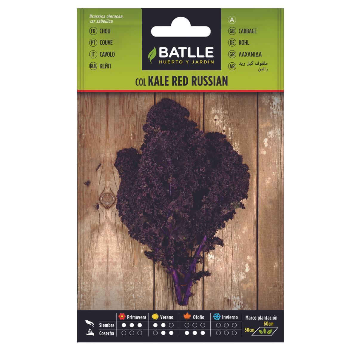 Kale-Samen Red Russian Batlle