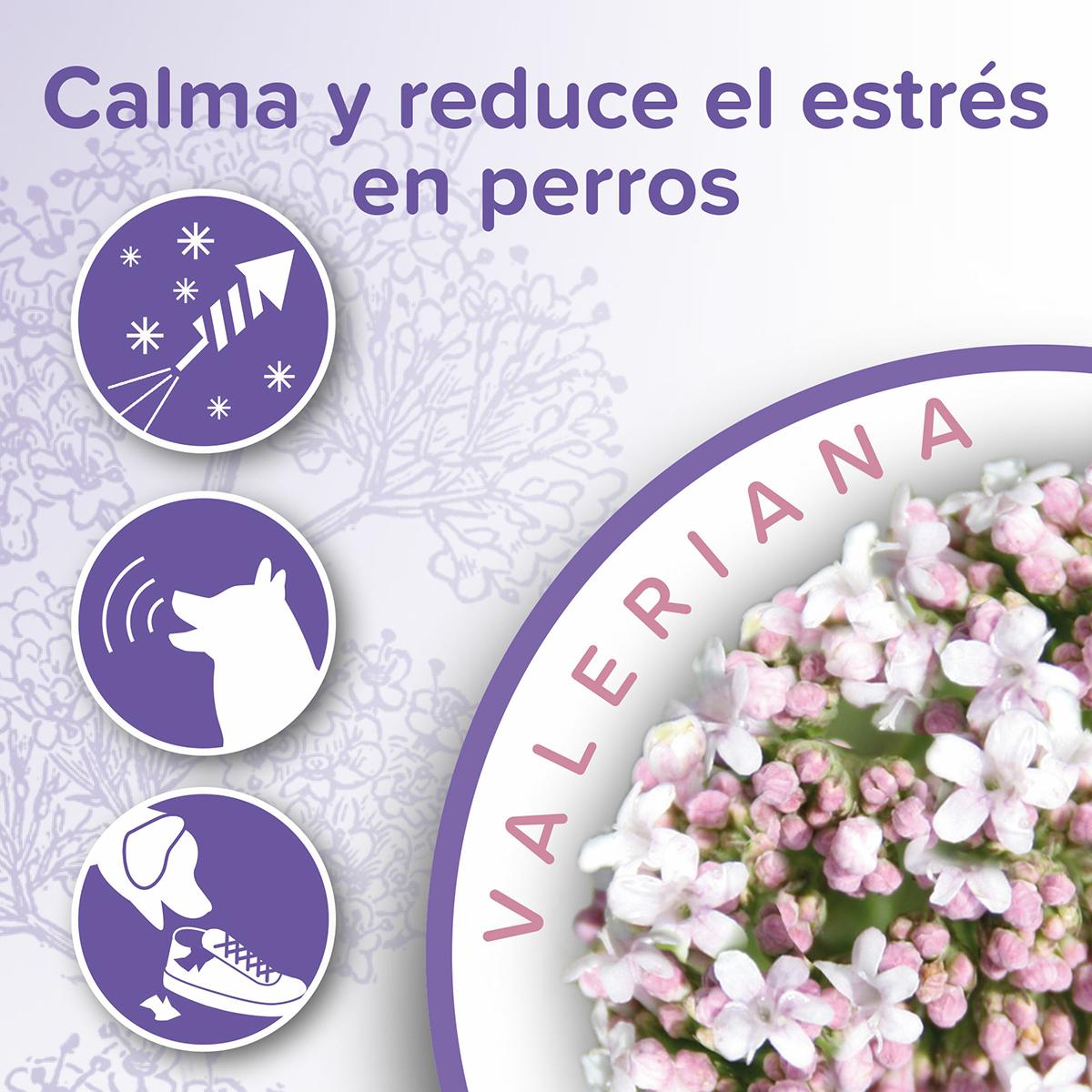 Beaphar Calming Collar natürliches Beruhigungsmittel für Hunde 65 cm