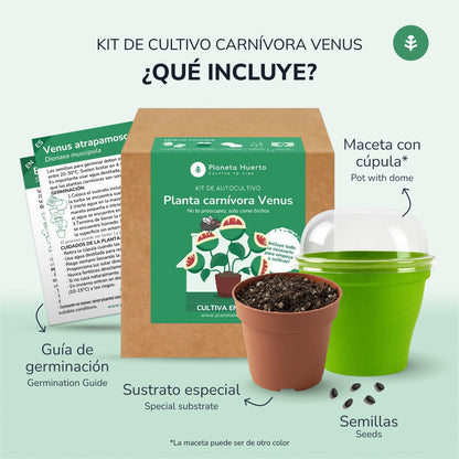 Kit di autocoltivazione Trappola di Venere pianta carnivora Pianeta giardino