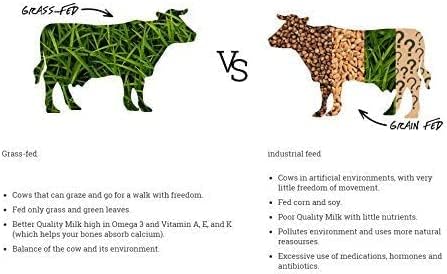 Natruly Białko serwatkowe Bio Czekolada 350 g 350 g